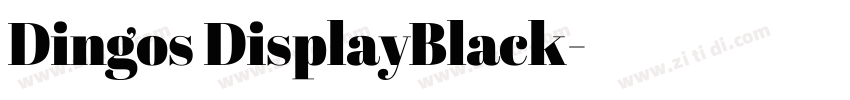 Dingos DisplayBlack字体转换